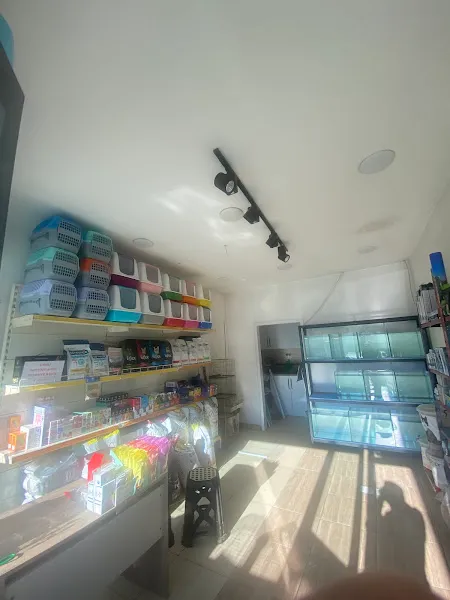 Kürşat petshop foto 2