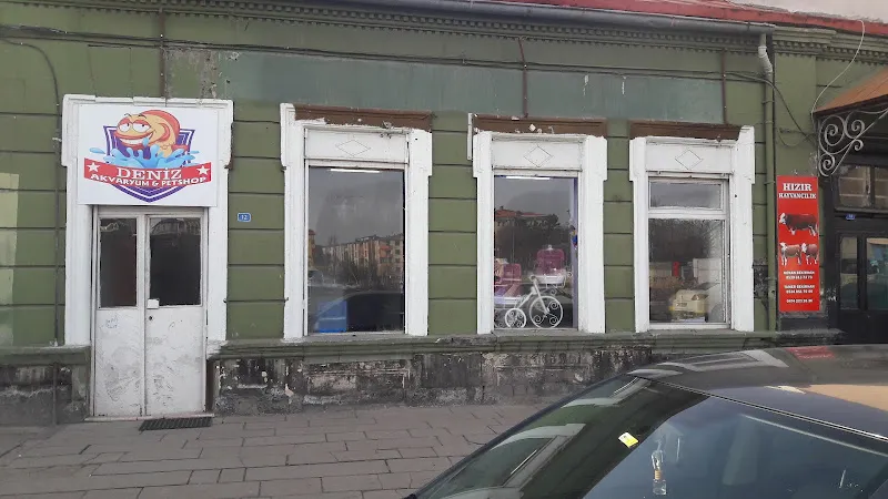 Gökkuşağı Pet Shop foto 2