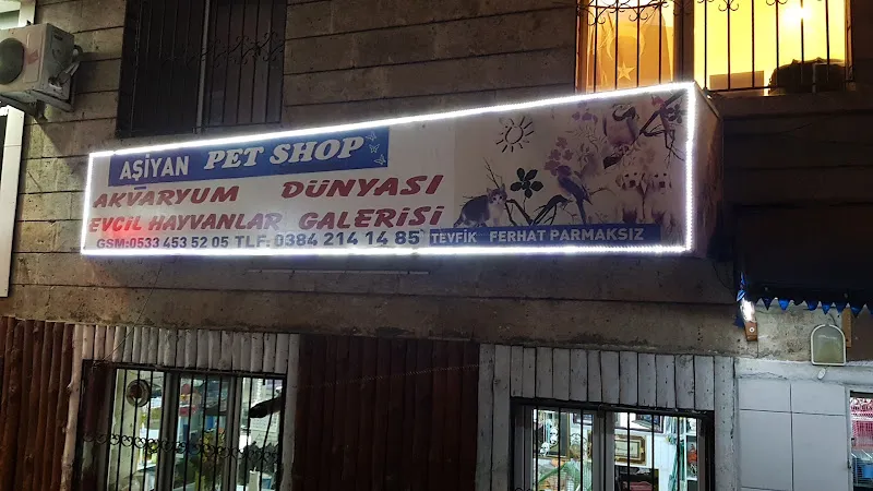Aslan Kral Pet Shop foto 1