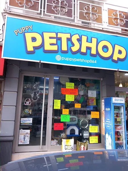 NİL PETSHOP TOPTAN foto 2