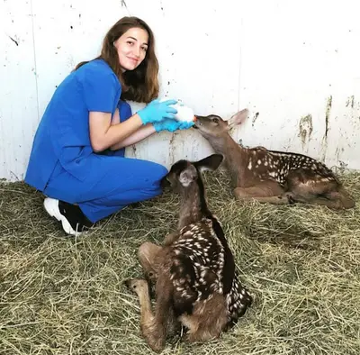 Beytepesi Veteriner Kliniği