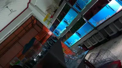 Petopya Petshop
