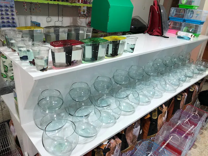 Petopya Petshop foto 2