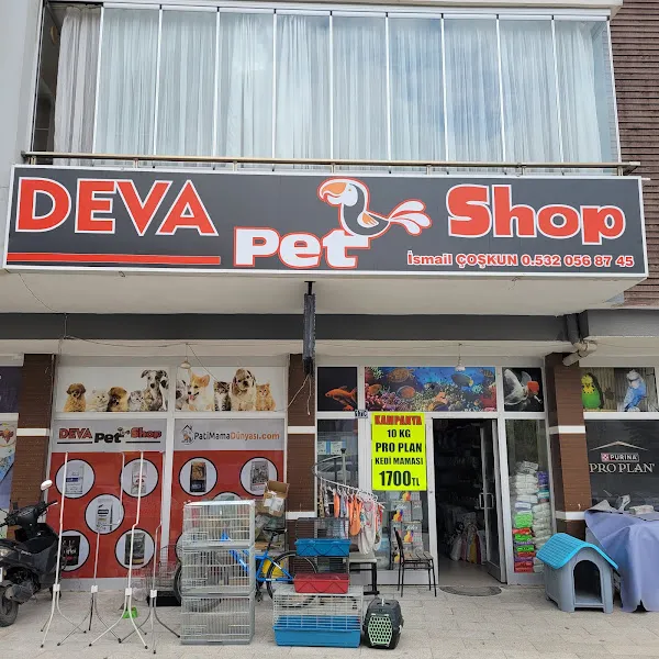 Deva Petshop akvaryum foto 1