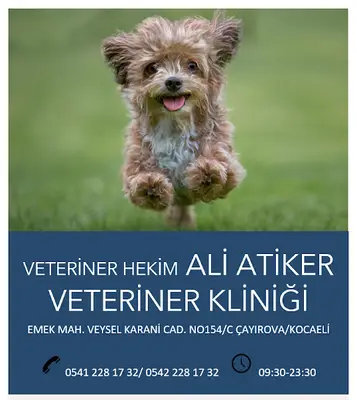 Ali ATİKER Veteriner Hekim