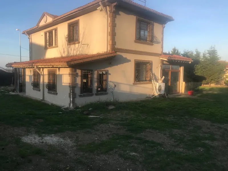 Patilog Köpek Eğitim Merkezi foto 2