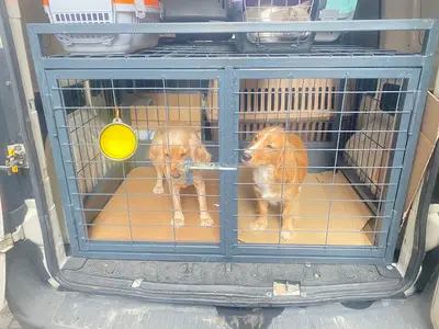 sempati pet taksi fotoğrafı