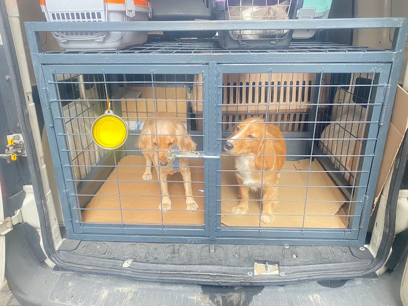 sempati pet taksi foto 1