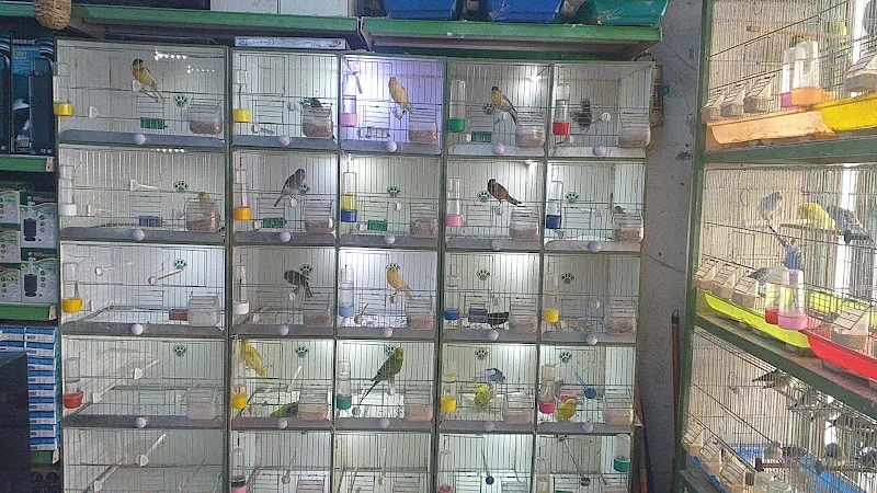 Eylül Pet Shop foto 2