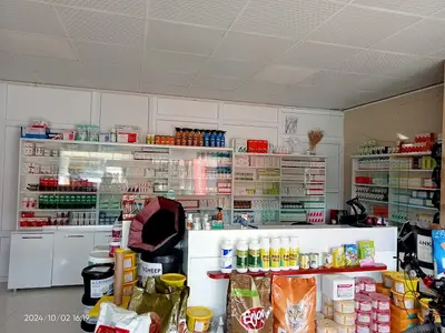 İscehisar Asrın veteriner kliniği