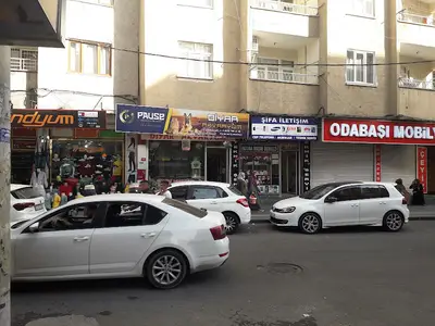 Diyar Akvaryum ve kuş galerisi petshop, balık, kuş, akvaryum, kafes, kedi maması, Beta balığı, scotich, british,