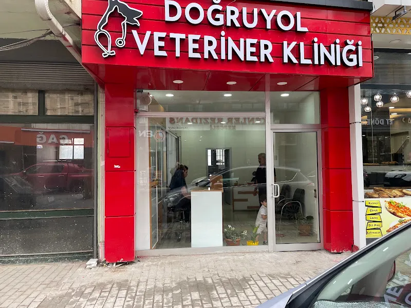DOĞRUYOL VETERİNER KLİNİĞİ foto 2