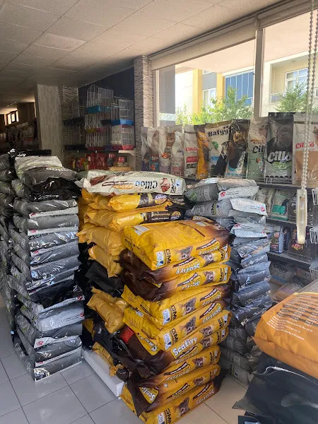 Cilloo Toptan&Perakende Pet Ürünleri foto 2