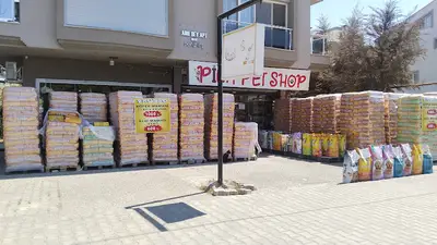 PİNA PET SHOP DİKİLİ fotoğrafı
