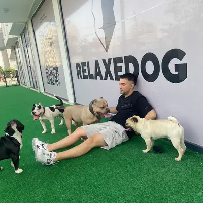 RELAXEDOG • Pozitif Köpek Eğitim Merkezi
