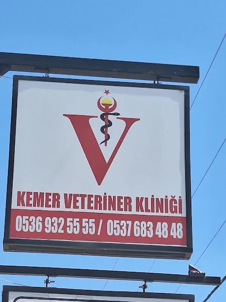 EFE VETERİNER KLİNİĞİ foto 1