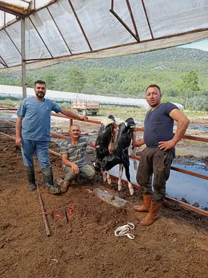 BOY VETERİNER KLİNİĞİ