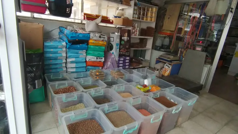 Karaman Kanatlı Dünyası Petshop foto 2