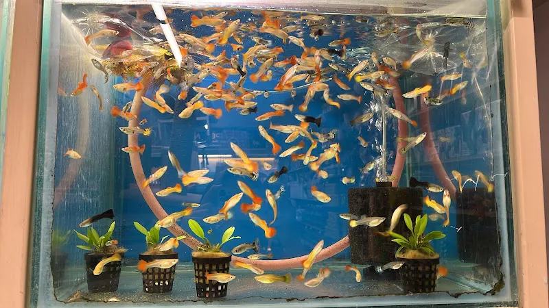 Özer Pet Market foto 2