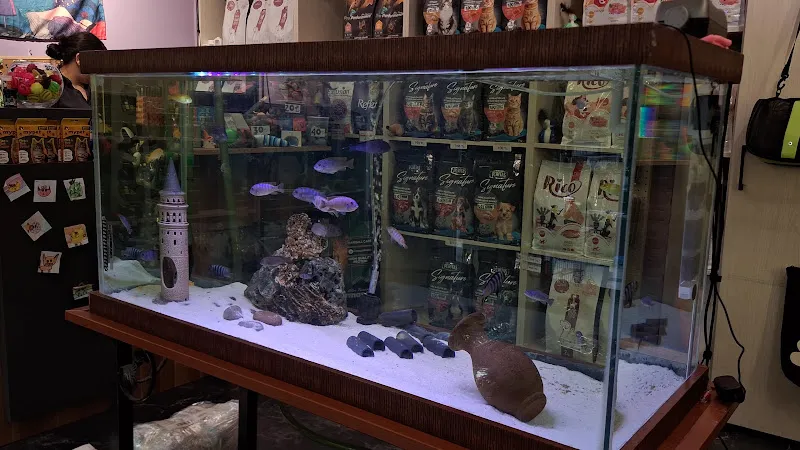 Henora Pet Shop | Evcil Hayvan Ürünleri Mağazası foto 2