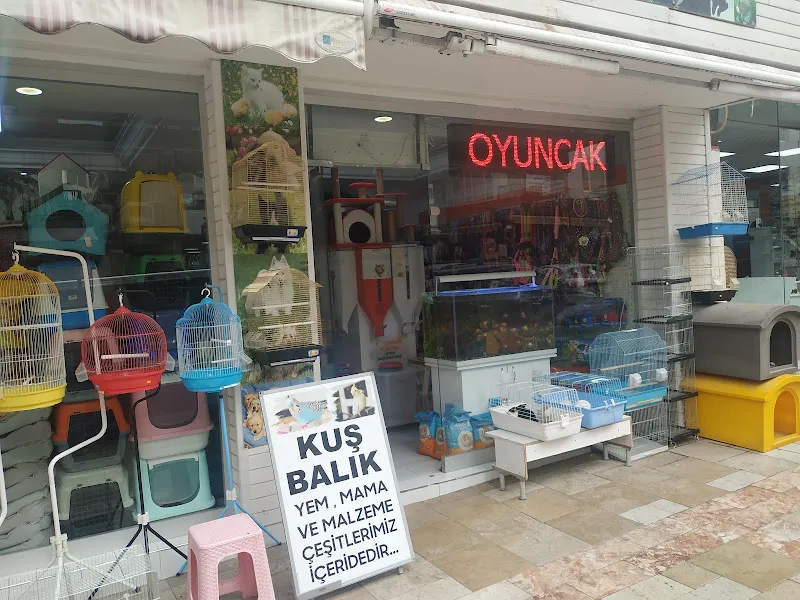 SARAY PETSHOP AKVARYUM VE KUŞ GALERİSİ foto 2