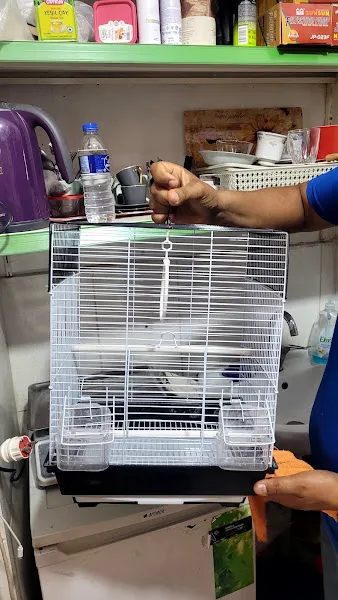 Yiğit Akvaryum Dünyasi Pet Shop foto 2