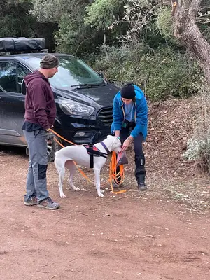 Quattro K9 Club - Köpek Eğitim Merkezi fotoğrafı