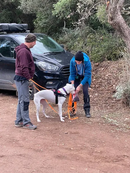 Quattro K9 Club - Köpek Eğitim Merkezi foto 1