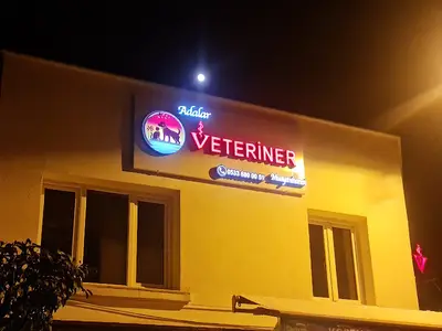 Adalar Veteriner Kliniği