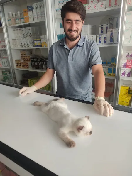 Dağ veteriner kliniği foto 2