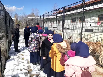 Düzce Belediyesi (BARINAK)sokak hayvanları geçici bakımevi
