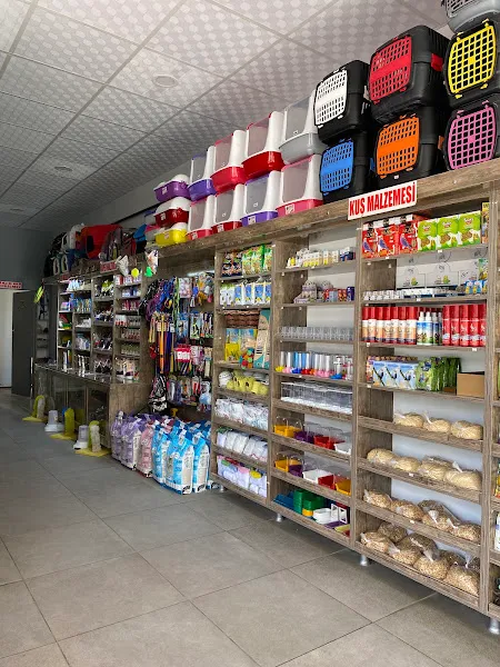 Can Pet Shop foto 2