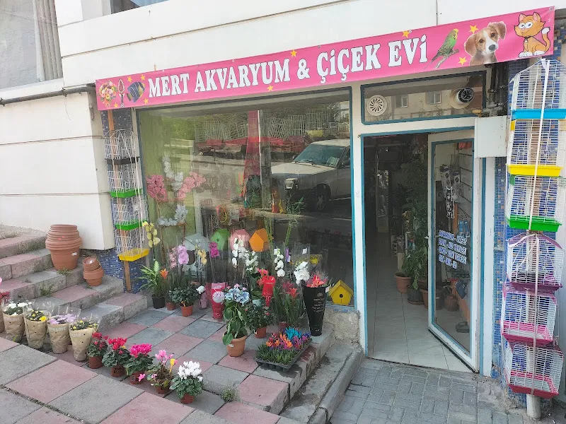 Mert Akvaryum Çiçek Evi Petshop foto 1