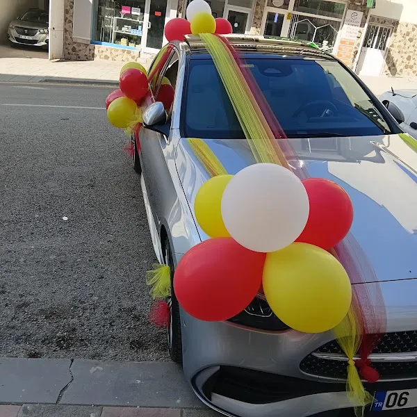 Mert Akvaryum Çiçek Evi Petshop foto 2
