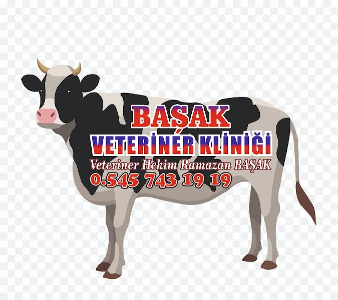 BAŞAK VETERİNER KLİNİĞİ NUSAYBİN foto 1