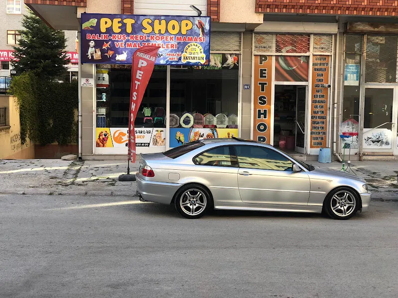 Pursaklar Akvaryum foto 1