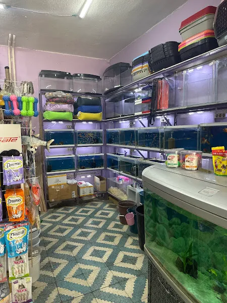 Eflatun Petshop foto 2