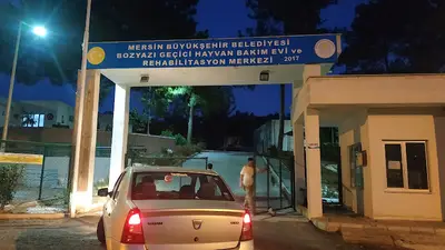 Bozyazı hayvan rehabilitasyon ve geçici bakım evi