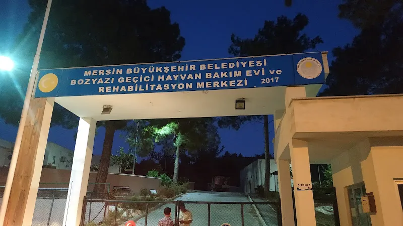 Bozyazı hayvan rehabilitasyon ve geçici bakım evi foto 2