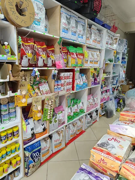 74 bilgin petshop foto 2