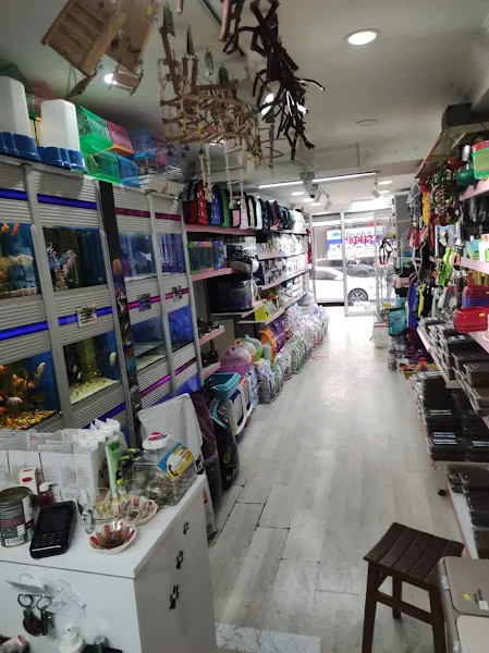 my petshop foto 1