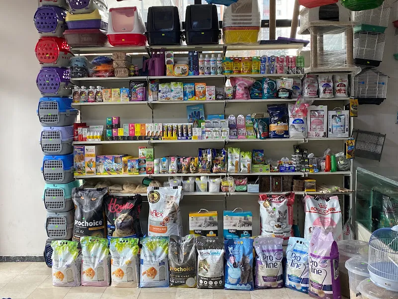 kayseri masal petshop evcil hayvan ürünleri mağzası foto 2