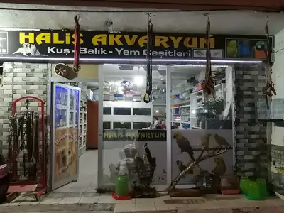 Halis Akvaryum