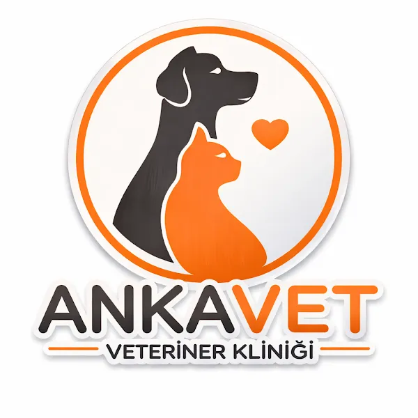 Ankavet Veteriner Kliniği Kırşehir foto 2
