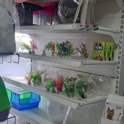 Dicle Petshop