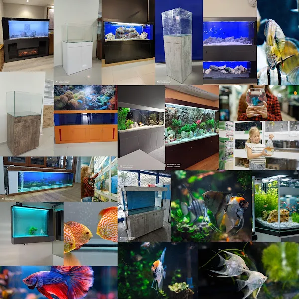 Maltepe Akvaryum Petshop foto 2