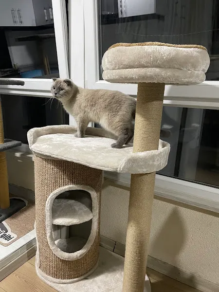Ataşehir Nokta Pet Shop foto 2
