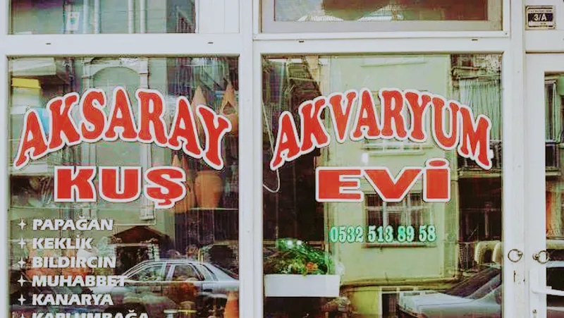 Aksaray pet Kuş Akvaryum Evi (toptan ve parakende ) foto 2