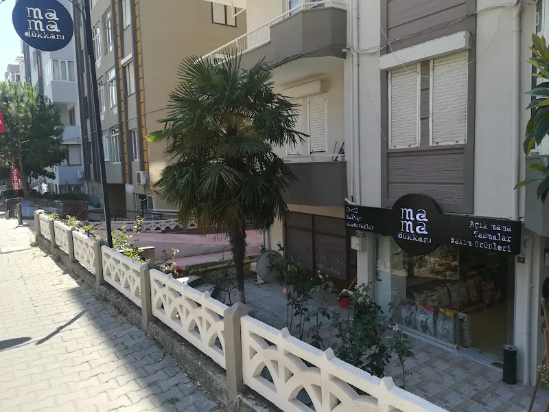 Mama Dükkanı foto 2