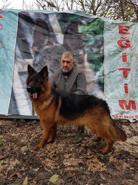 kurtoğlu köpek egitim merkezi foto 1